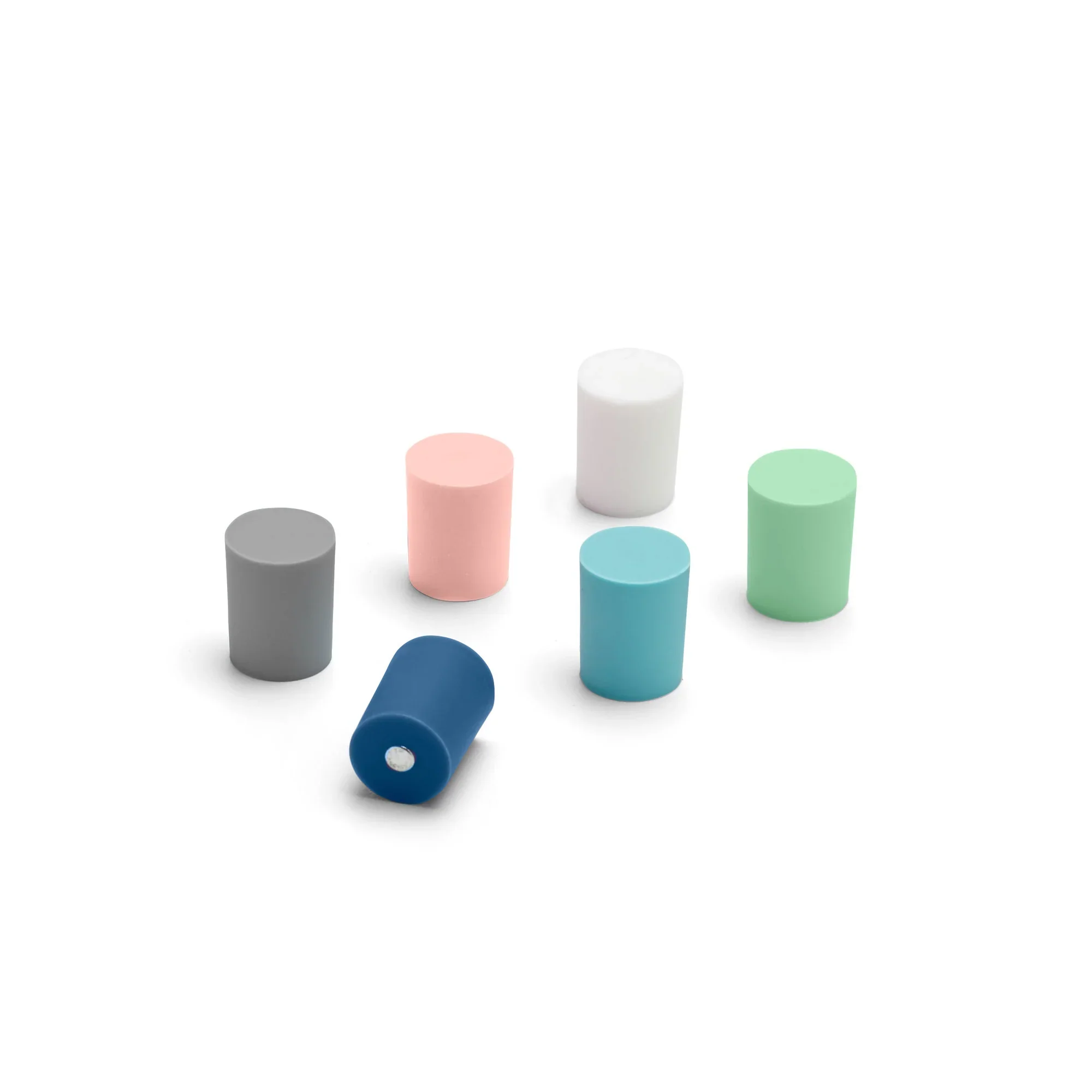Assorted Magnets, Set of 6 3 Assorted Magnets, Set of 6