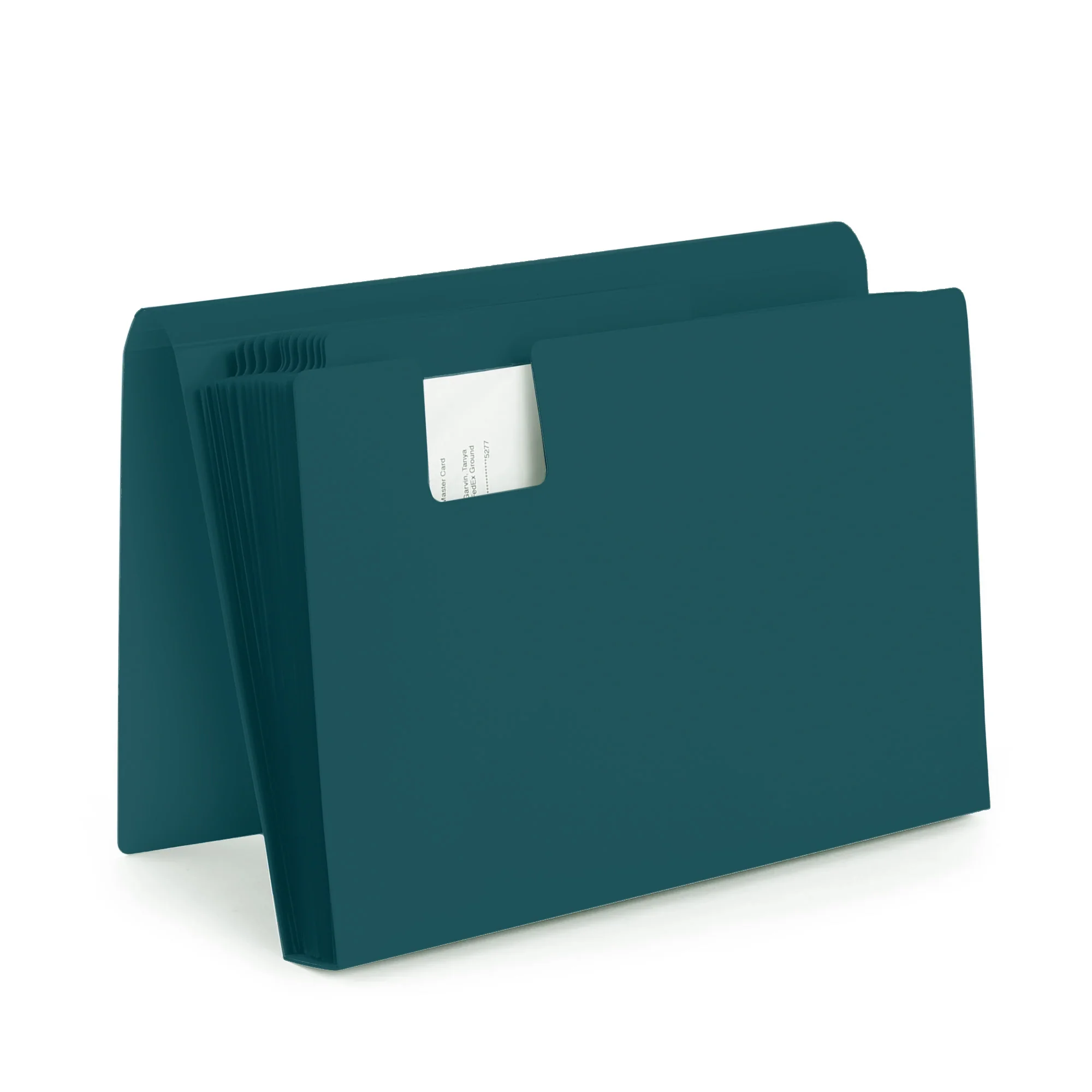 Accordion File