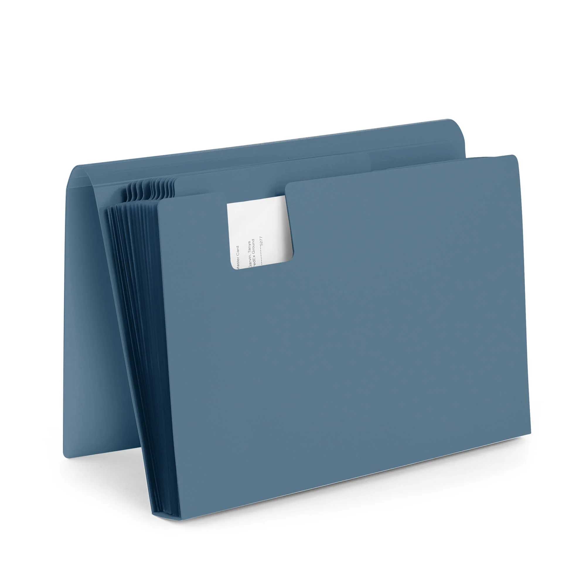 Accordion File