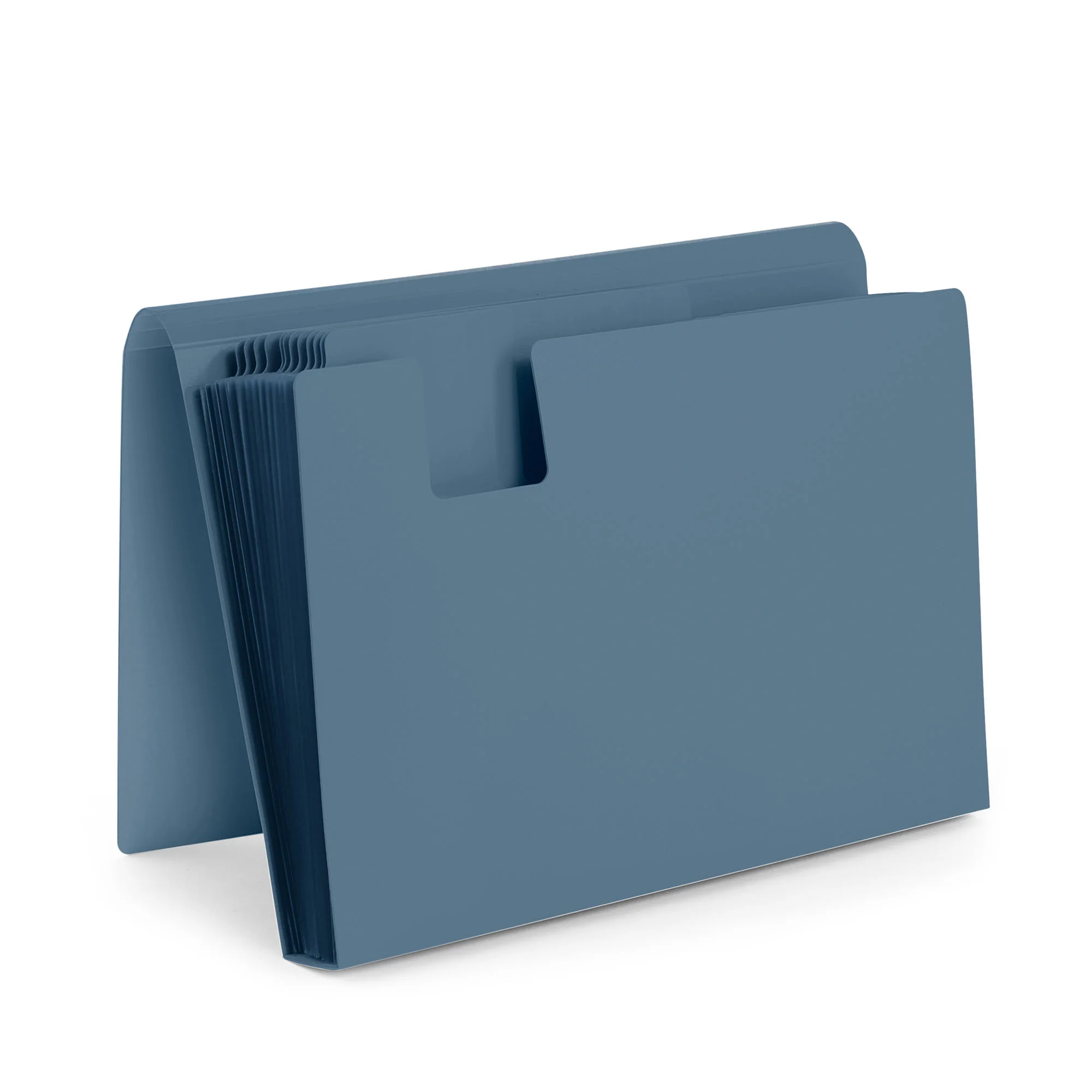 Accordion File