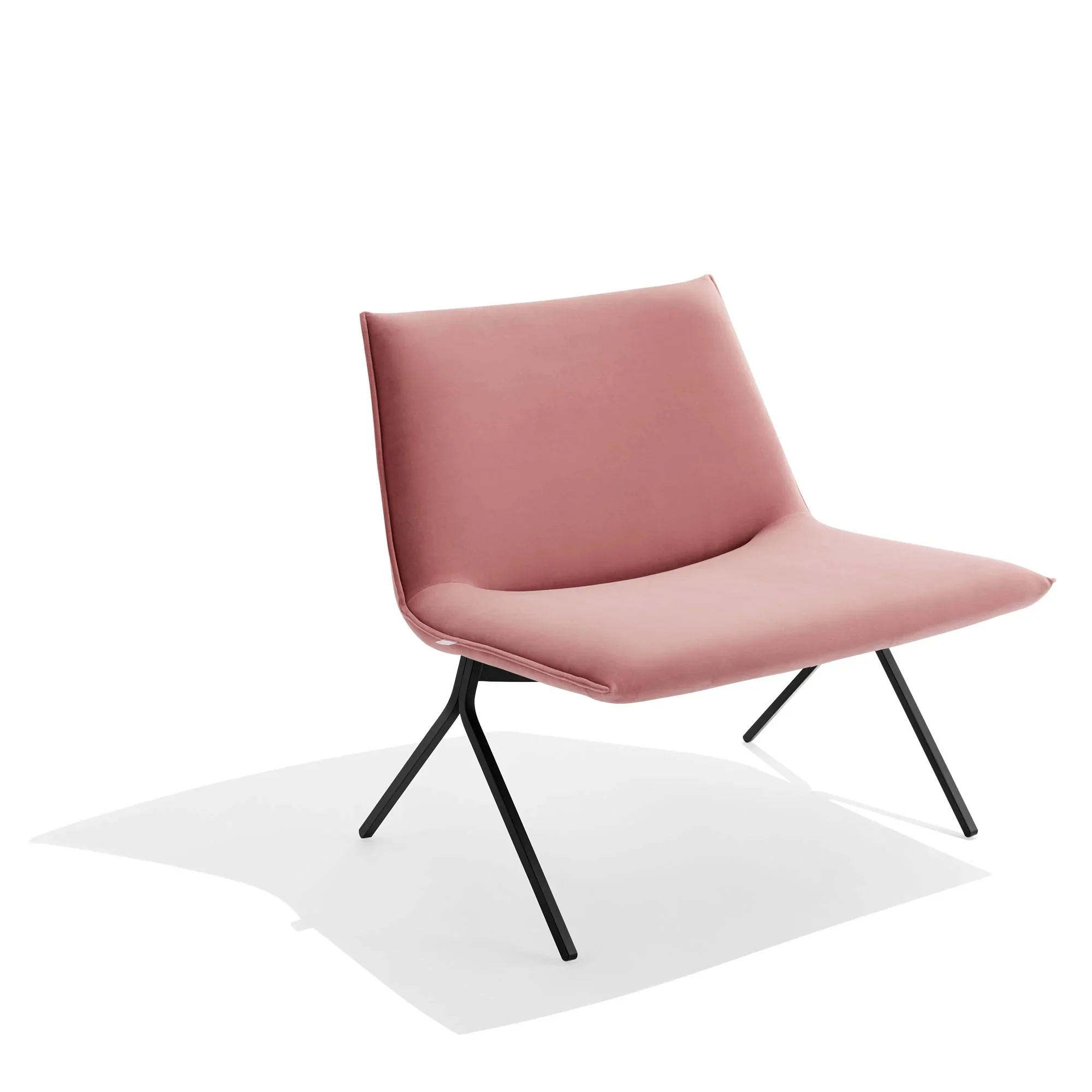 Meredith Lounge Chair